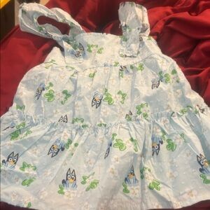 NWT Sz 4t bluey dress